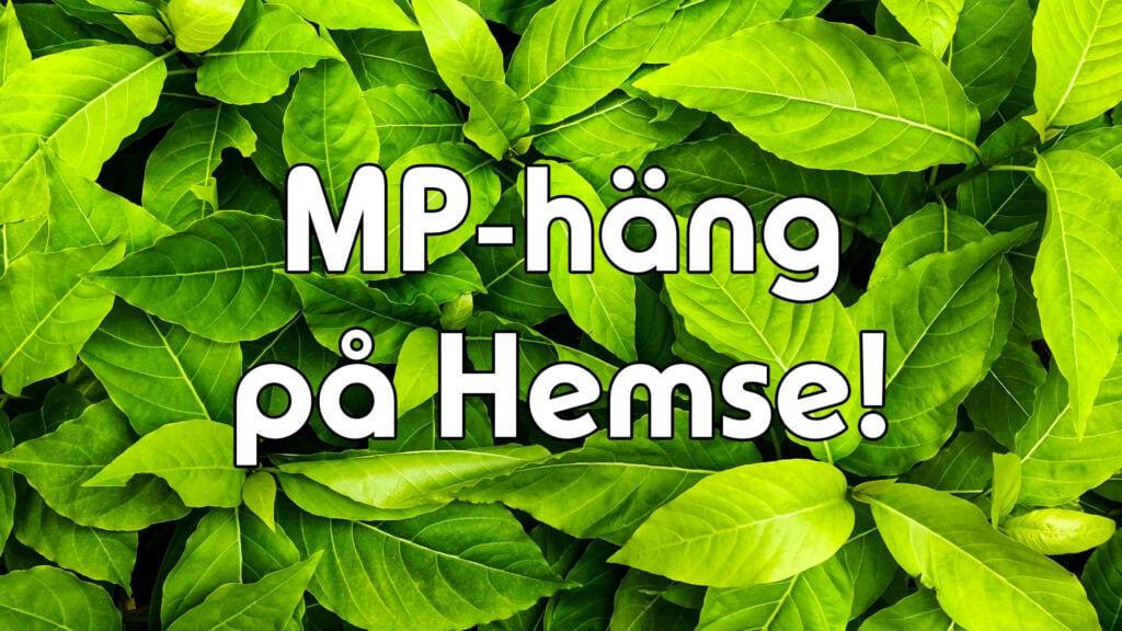 MP-häng på Hemse!